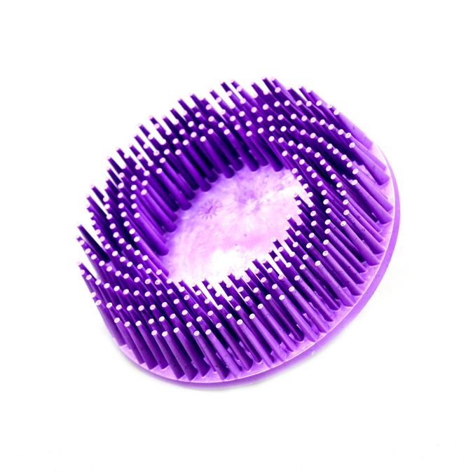 Bristle disque Roloc