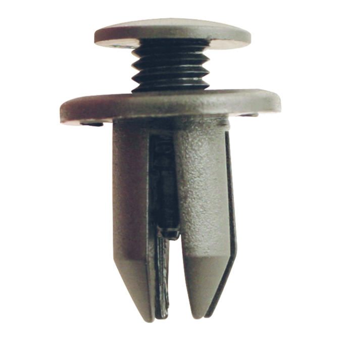 Clip - push type