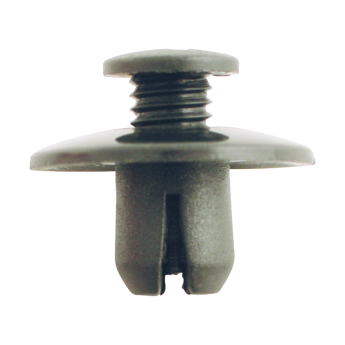 Clip - push type