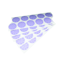 Disques à poncer Polarstar SR